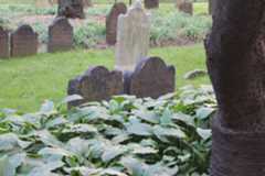 Larger memorial image loading...