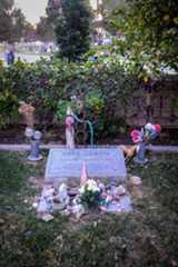 Larger memorial image loading...