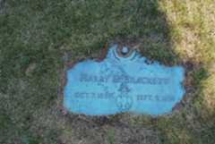 Larger memorial image loading...