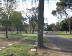 Larger memorial image loading...