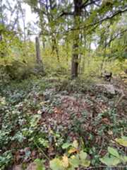 Larger memorial image loading...