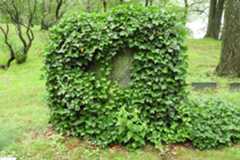 Larger memorial image loading...