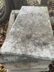 Larger memorial image loading...