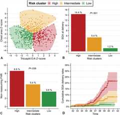 Small-for-Gestational-Age Birth Weight Risk Stratification Using First-Trimester Fetal Cardiac Parameters