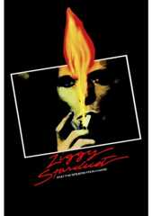 Ziggy Stardust and the Spiders from Mars