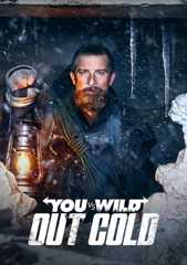 Du gegen die Wildnis: Abgestürzt