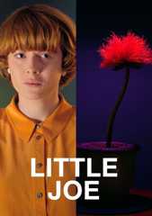 Little Joe - Glück ist ein Geschäft