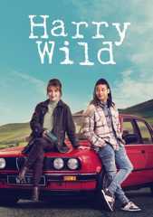Harry Wild - Mörderjagd in Dublin