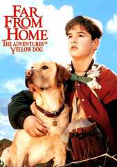 Gefährliche Wildnis