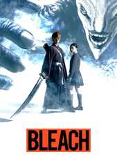 Bleach