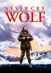 Wenn die Wölfe heulen