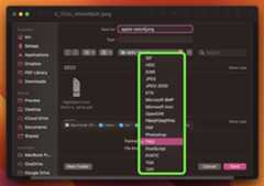 preview-save-format-options.jpg