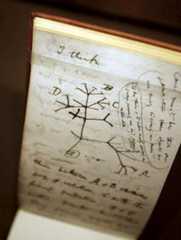 Why Darwin was wrong about the tree of life