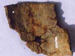 A pottery fragment from Xianrendong cave (Image: courtesy of Science/AAAS)