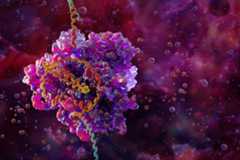 Illustration of the CRISPR-Cas9 gene editing complex (pink and purple) bound to DNA (helix)