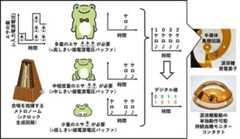 涙液糖で動く半導体回路…京大が開発、体内IoT機器に応用