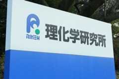 創薬研究を加速化…理研が「細胞応答」AI基盤開発へ、iPSデータで学習