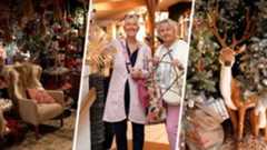 Weihnachten im Oktober: Darum zieht Krusmølle schon jetzt deutsche Besucher an