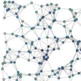 Network Graph
