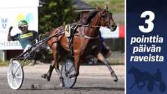 Up Down Lily on venynyt kuin purukumi.