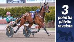 Ray Boy on voittanut jo 34 kertaa.