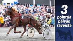 Caru on ikäluokkansa ansioitunein hevonen tänä vuonna.