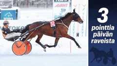 Seitsemänvuotias Impresario on viilettänyt lähes voitosta voittoon.