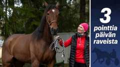 Irina Sarin on mielissään, kun Amazing Player lähestyy taas huippukuntoaan.