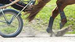 Yhdysvalloissa tapahtui kuolemaan johtanut ravionnettomuus. Kuvituskuva.