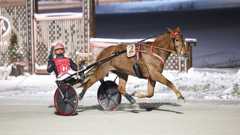 Jockas Rita tekee selvää jälkeä. Tamman ainoa tappio on tullut varusterikon vuoksi.