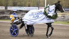 Mellby Jinx ja ohjastaja Daniel Wäjersten. 