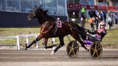 Lightning Striden komea 4-vuotiskausi ei saanut huipennusta Breeders’ Crownista.