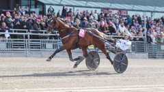 Go On Boy oli omaa luokkaansa Elitloppetissa.