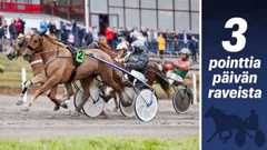 Viime syksyn Villinmiehen Tammakilvan kärkikolmikko Huisi Hippu, Hentun Liisa ja Landen Iita osallistuu Tammaderbyn karsintoihin.