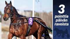 Torstain T5-pelin avainhevonen Dozen Of Oysters edusti Suomea Finlandia-ajossa keväällä.