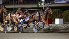 Goodbrother voitti syyskuussa Kriteriumin karsintalähdön Tuomas Pakkasen ohjastamana.