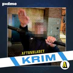 Nazisternas våldsnatt