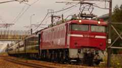 快速しんえつさんの投稿写真