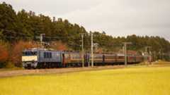 快速しんえつさんの投稿写真