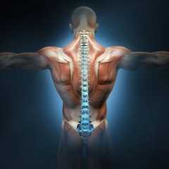 【アメリカ発の人気エクサ】ズボラさん必見!一石三鳥「寝たままできる胸椎ストレッチ」