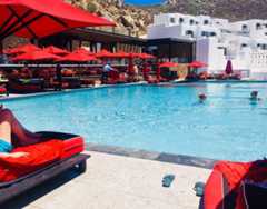 צילום: שירי הדר