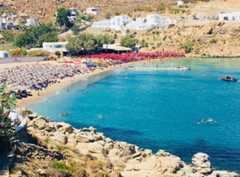 צילום: שירי הדר