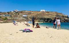 צילום: שירי הדר