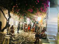 צילום: שירי הדר