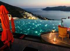 צילום: שירי הדר