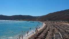 צילום: שירי הדר