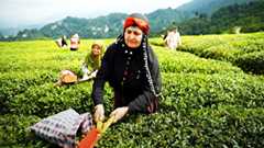 Anadoludakiler 1. Bölüm Tanıtım