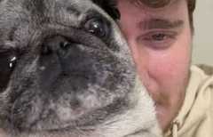 Cyril Schreiner retrouve son chien, mais fait face à la polémique