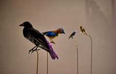 Jura (39) : Meilleures sorties et activités à faire du 9 février au 15 février 2026