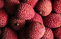 Quels sont les bienfaits du litchi ?